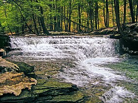 Fall Brook, Salt Springs State Park, Susquehanna County, Pennsylvania (16 March 2008).jpg
