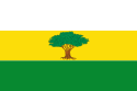 Arroyohondo – Bandiera