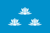 Bandiera de Novokuibishevsk