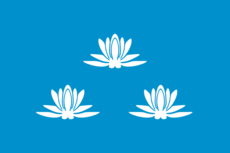 Flag of Novokuybyshevsk (Samara oblast).png