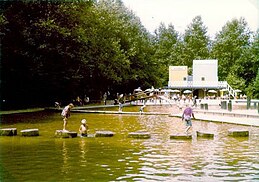 I bambini in un gioco che consiste nel saltare sui sassi senza toccare l'acqua del lago