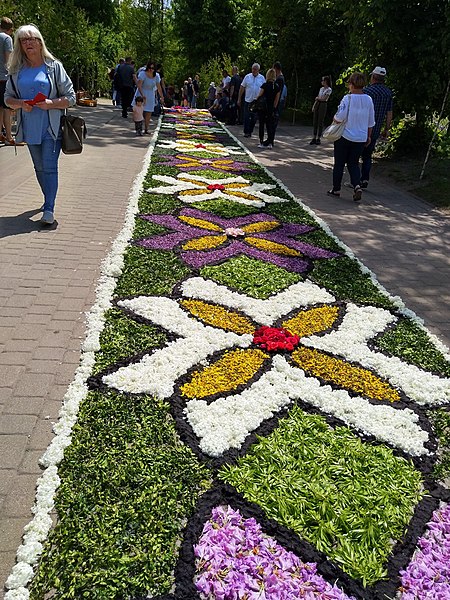 File:Flower carpets for Corpus Christi procession in Spycimierz, Poland - June 2021.jpg