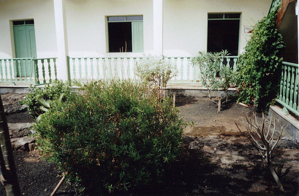 Endemic plants in the garden of the Museu Municipal in São Filipe