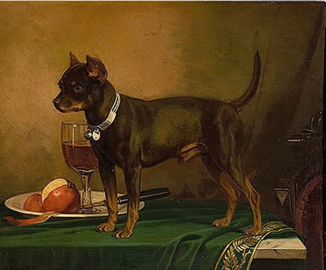 A painting of an English toy terrier by Frederick August Wenderoth in 1865