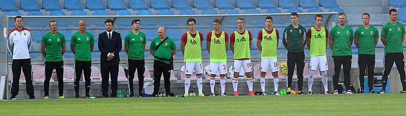 File:Friendly match Austria U-21 vs. Hungary U-21 2017-06-12 (122).jpg