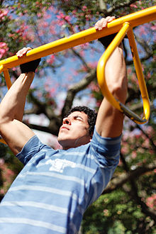 Gimnasios al aire libre (8533568683).jpg