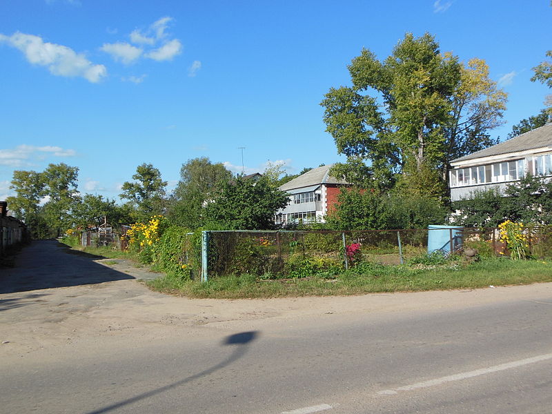 File:Glebovskoe (Istrinsky District) 5.JPG