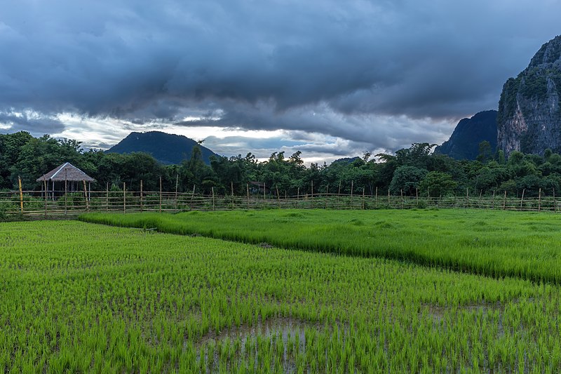 File:Green paddy fields under heavy clouds at dusk in Vang Vieng, Laos.jpg