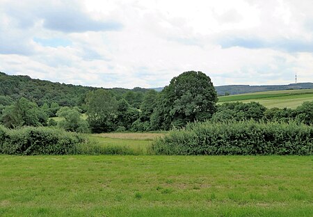 Hagen LSG Berchumer Heide, Reher Heide