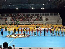 The conclusion of the Canada versus Brazil match Handball2015pan.jpg