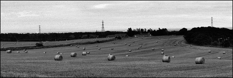 File:Hay Bales (7992049151).jpg