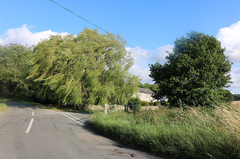 File:Heydon Lane, Chrishall - geograph.org.uk - 6216071.jpg