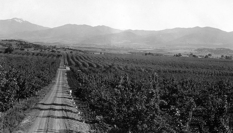 File:Hillcrest Orchard near Medford, Oregon (3387278573).jpg