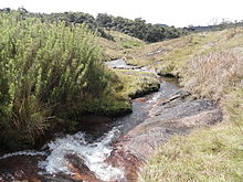 Belihul Oya, a tributary of Walawe River.
