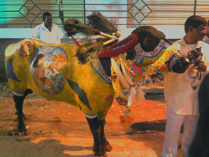 File:Hyderabad bull.jpg