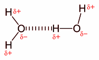 الرابطة الهيدروجينية في الماء 2D.svg