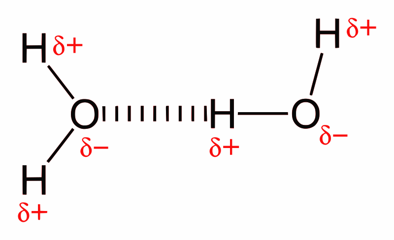 File:Hydrogen-bonding-in-water-2D.svg