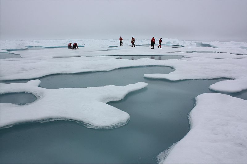 File:ICESCAPE.jpg