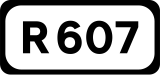 <span class="mw-page-title-main">R607 road (Ireland)</span> Regional road in Ireland