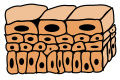 Schematic view of transitional epithelium