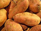 Άνθος γλυκοπατάτας (Ipomoea batatas) και κόνδυλοι