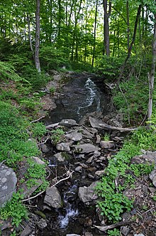 Pocantico River tributary taken across Ryder Rd. JuniperLedgeExt13.JPG