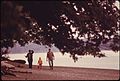 KOPACHUK STATE PARK BEACH AT GIG HARBOR IN SOUTHERN PUGET SOUND - NARA - 552295.jpg