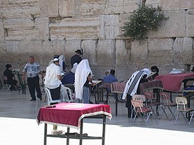 Charedisch Jodendom: Oorsprong, Richtingen binnen het charedisch jodendom, Charedim in Israël