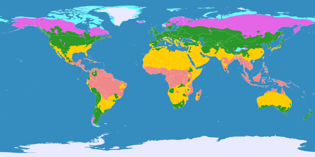 Cual es el mejor clima del mundo