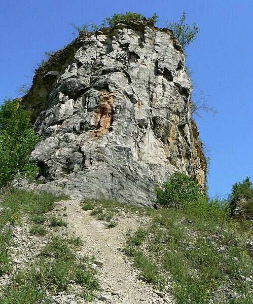 File:Kobyla (2).jpg