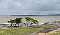 Kourou river estuary