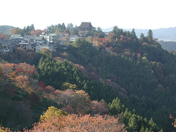 The red autumn leaves in Yoshino