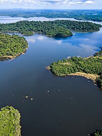 Réserve de faune du Lac Ossa Région du Littoral du Cameroun Photographe : Eric Joel MAMA NKE