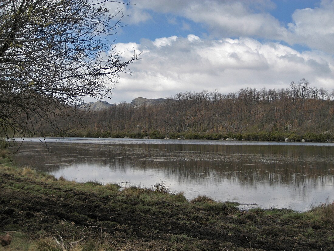 Laguna de Carros