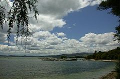 Lago Rotorua.jpg