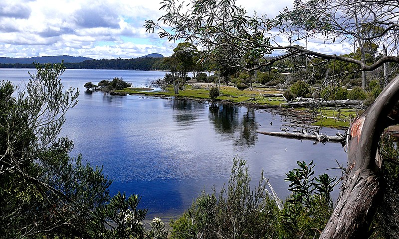 File:Lake St Clair NP Tas.jpg.