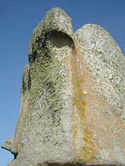 Lichenes rock Meneham ecological niches dscn1884.jpg