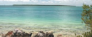 <span class="mw-page-title-main">Lignumvitae Key Botanical State Park</span> Archaeological site in Florida, United States