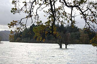 Lord's Island, Derwent Water - geograph.org.uk - 1027765.jpg