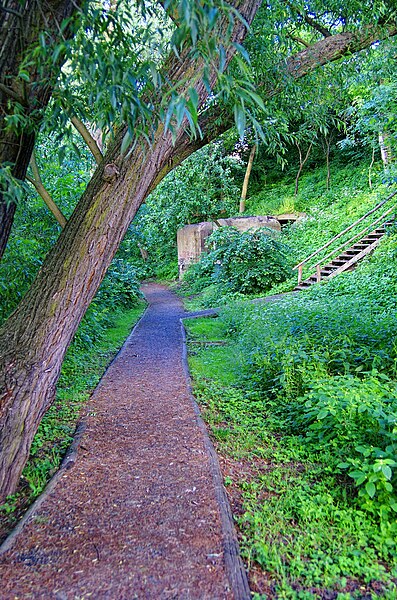 File:Louny - Stezka Ohře - Hiking Trail along River Ohře 06.jpg