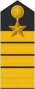 Admirális epaulette (csapatszolgálat)