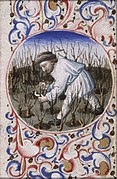 March - a man pruning