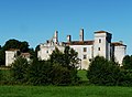 Castle of Mareuil