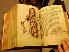 Anatomy in Margarita Philosophica, 1565 Margarita Philosopica by Reisch 2.jpg