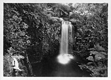 Marriner's Falls, Apollo Bay, 1935