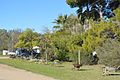 English: A display of wheelbarrows used as planters at Maude, New South Wales