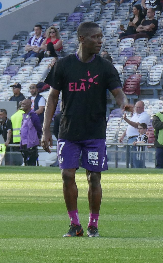 Max Gradel - Wikipedia