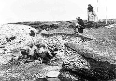Image 72Excavation of the Ertebølle middens in 1880 (from Atlantic Ocean)