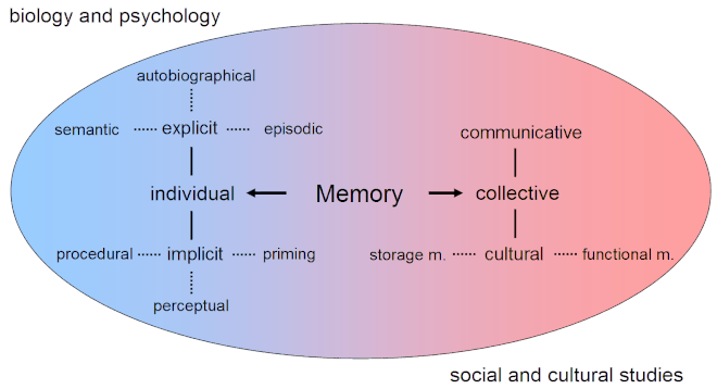 Overview of the forms and functions of memory.