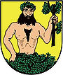 Znak města Město Albrechtice